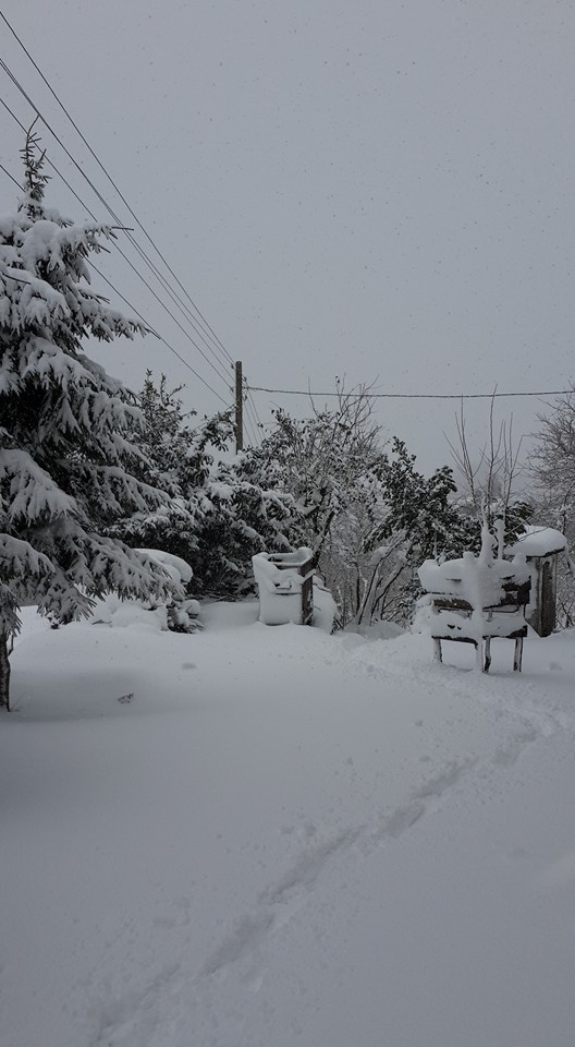 Beşikdüzü Bozlu Köyü Resimleri 21