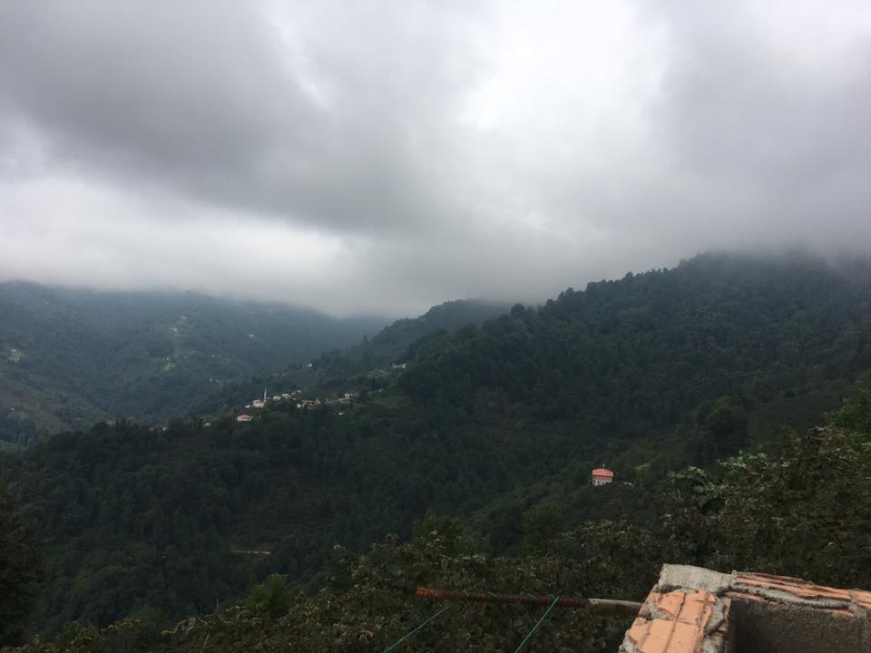 Beşikdüzü Bozlu Köyü Resimleri 6