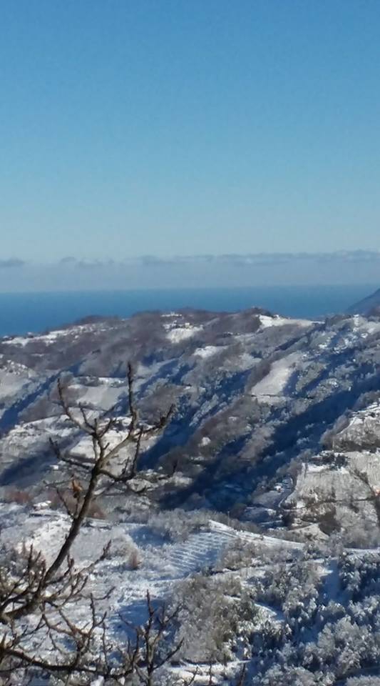 Beşikdüzü Bozlu Köyü Resimleri 7