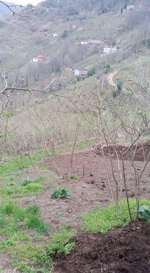 Beşikdüzü Bozlu Köyü Resimleri 9