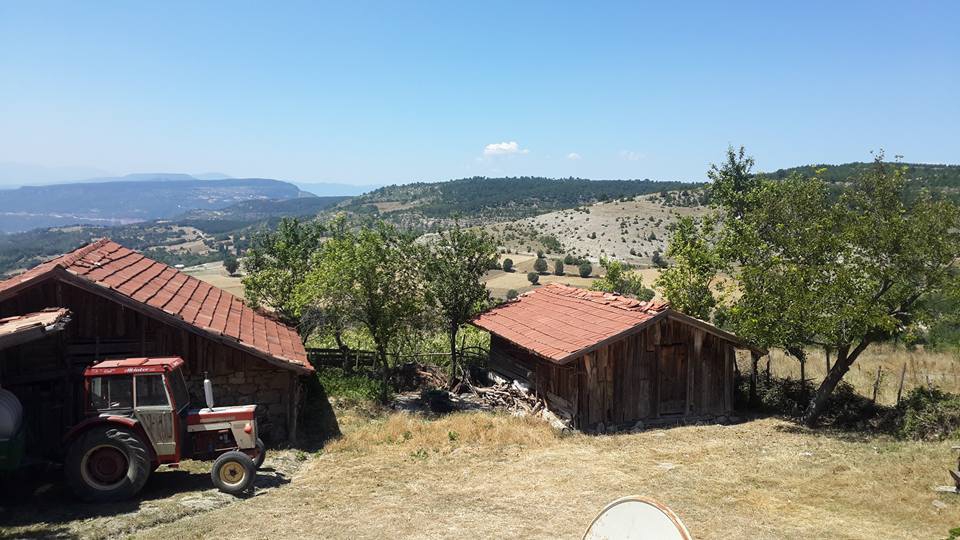 Araç Taşpınar Köyü Resimleri 10