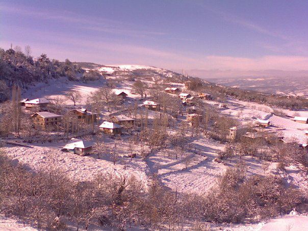 Araç Tellikoz Köyü Resimleri 3
