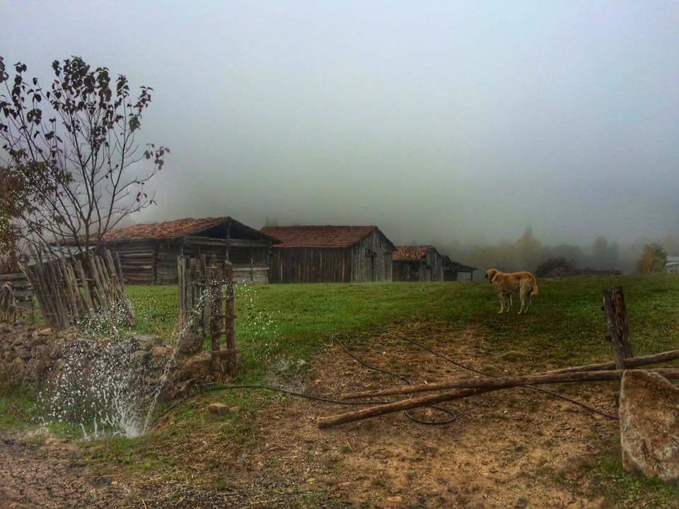 Araç Toygaören Köyü Resimleri 1