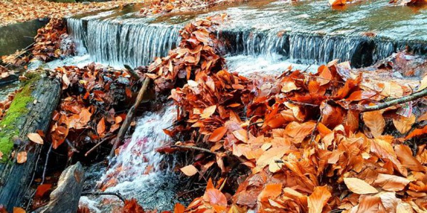 Yedigöller Resimleri