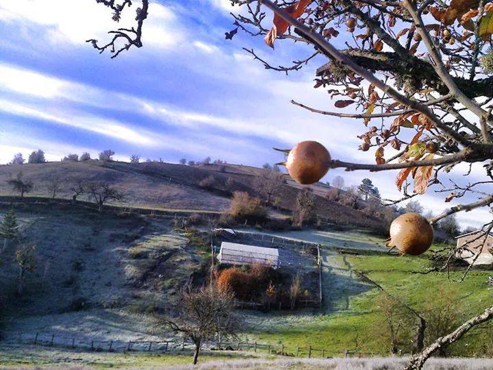 Azdavay Ahat Köyü Resimleri 4