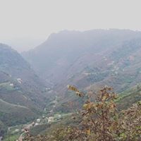 Görele Gürpınar Köyü Resimleri 3