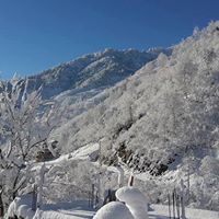 Görele Gürpınar Köyü Resimleri 7