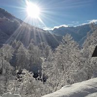 Görele Gürpınar Köyü Resimleri 8