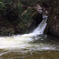 Görele Gürpınar Köyü Resimleri 9