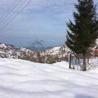 Görele Gültepe Köyü Resimleri 11