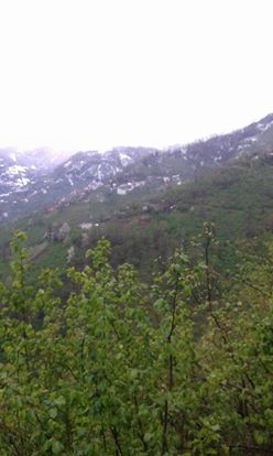 Görele Güvendik Köyü Resimleri 1