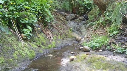 Görele Güvendik Köyü Resimleri 7