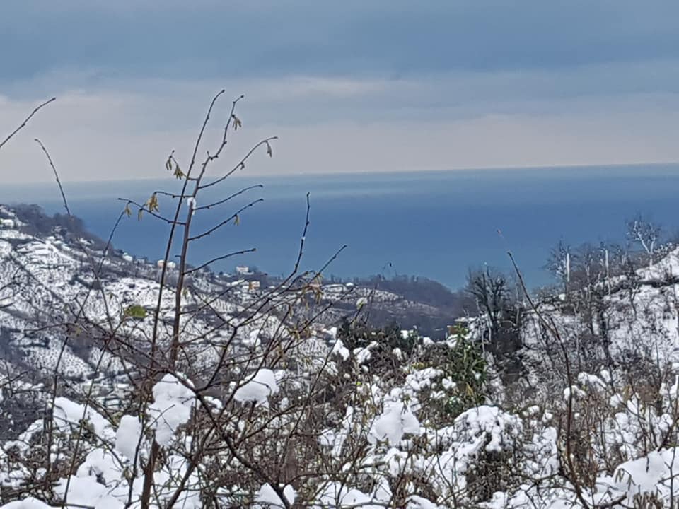 Görele Haydarlı Köyü Resimleri 10