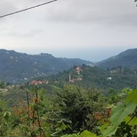 Görele Haydarlı Köyü Resimleri 7