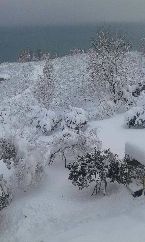 Görele Karaburun Köyü Resimleri 1