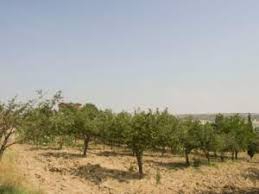 Bahşili Karaahmetli Köyü Resimleri 8