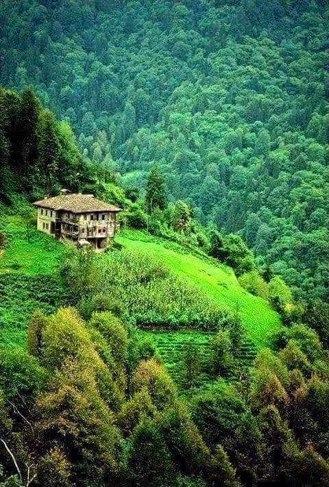 Beşikdüzü Dağlıca Köyü Resimleri 1