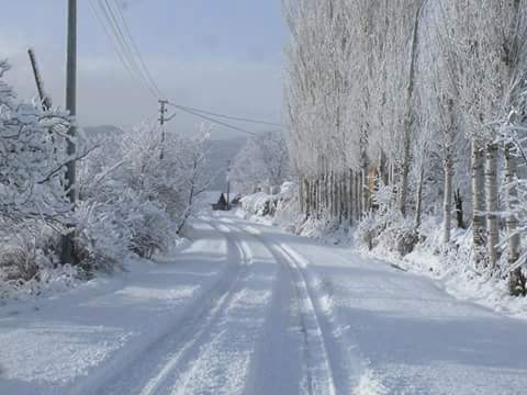 Beşikdüzü Dağlıca Köyü Resimleri 10