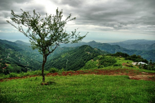 Beşikdüzü Dağlıca Köyü Resimleri 21
