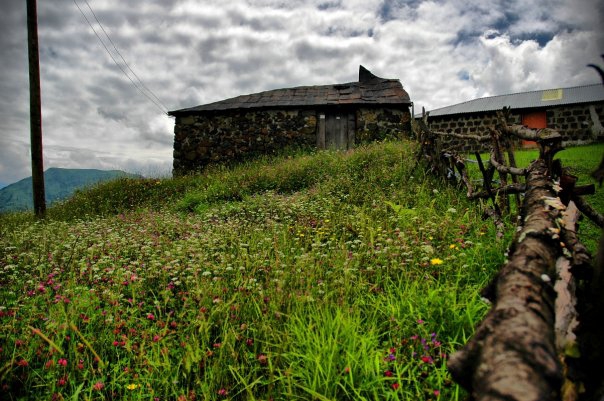 Beşikdüzü Dağlıca Köyü Resimleri 23