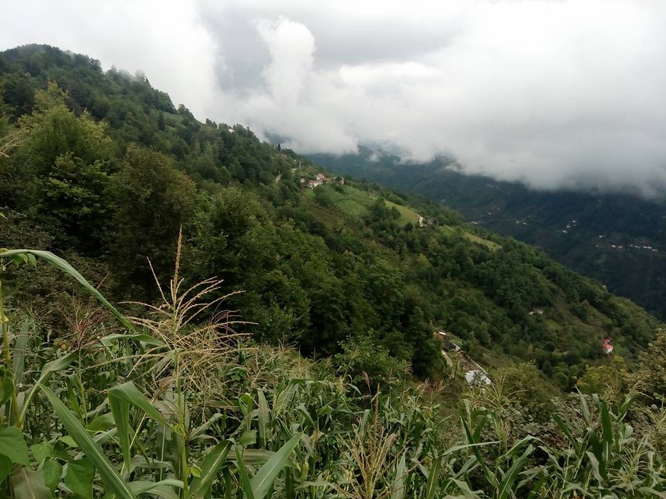 Beşikdüzü Dağlıca Köyü Resimleri 27