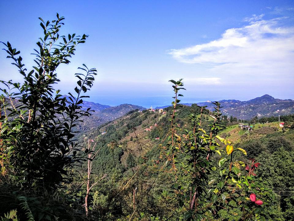 Beşikdüzü Dağlıca Köyü Resimleri 31