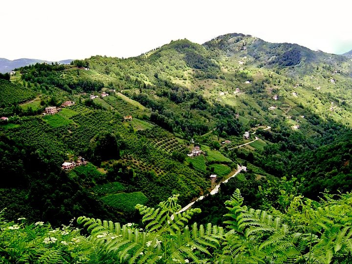 Beşikdüzü Dağlıca Köyü Resimleri 32