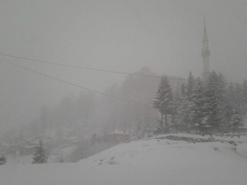 Beşikdüzü Dağlıca Köyü Resimleri 34