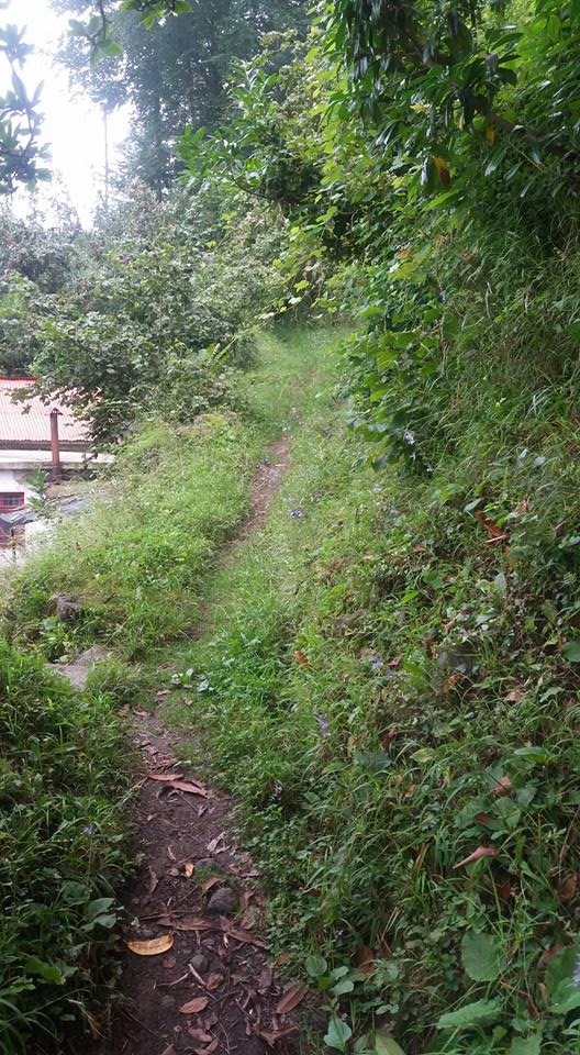 Beşikdüzü Dağlıca Köyü Resimleri 7