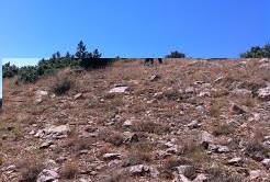 Bahşili Sarıkayalar Köyü Resimleri 5