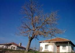 Balışeyh Battalobası Köyü Resimleri 12