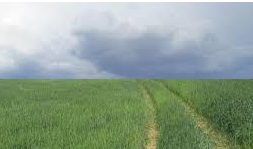 Balışeyh Beşbıçak Köyü Resimleri 10