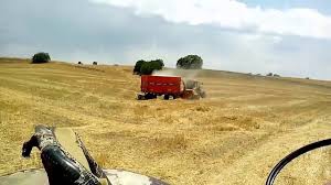 Balışeyh Beşbıçak Köyü Resimleri 9