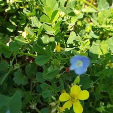 Balışeyh Beyobası Köyü Resimleri 10