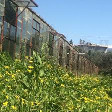 Balışeyh Beyobası Köyü Resimleri 7