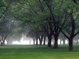 Balışeyh Beyobası Köyü Resimleri 9