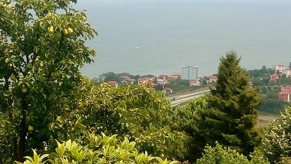 Beşikdüzü Denizli Köyü Resimleri 13