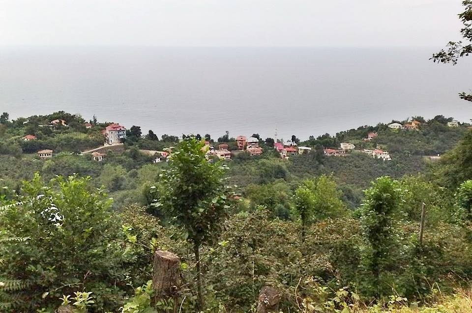 Beşikdüzü Denizli Köyü Resimleri 3