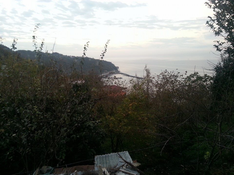 Beşikdüzü Denizli Köyü Resimleri 4