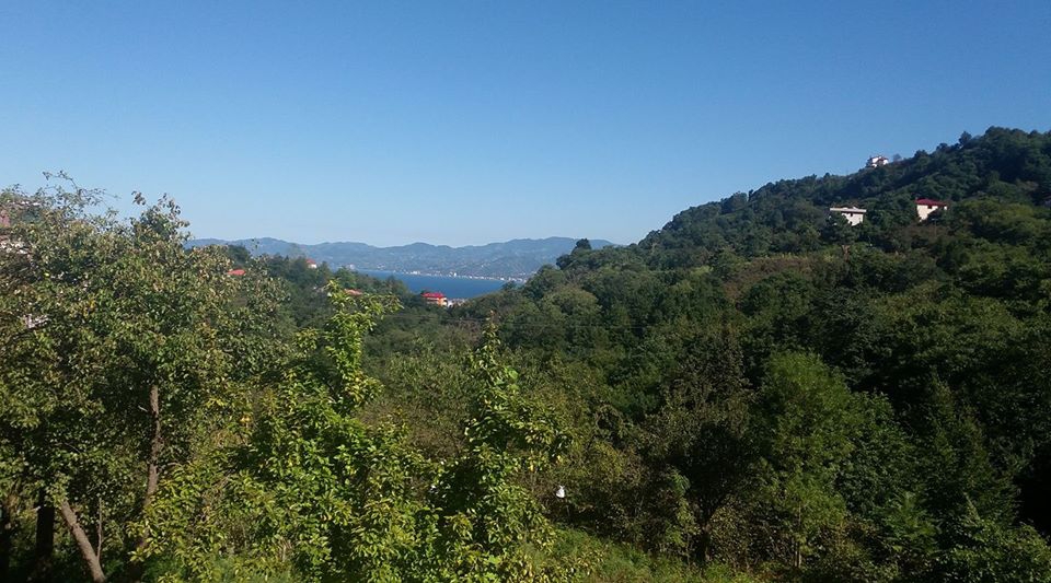 Beşikdüzü Denizli Köyü Resimleri 5