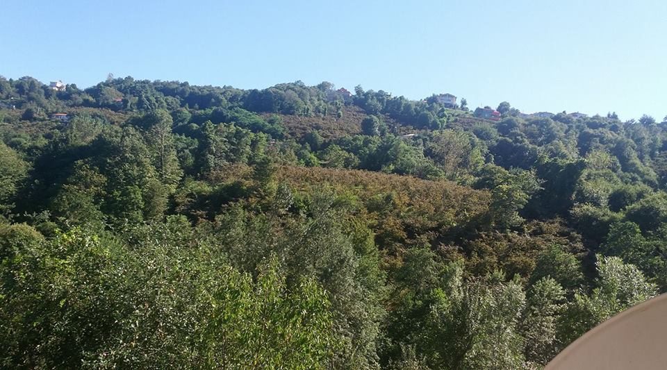 Beşikdüzü Denizli Köyü Resimleri 7