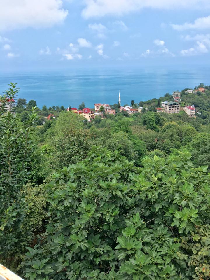 Beşikdüzü Denizli Köyü Resimleri 8