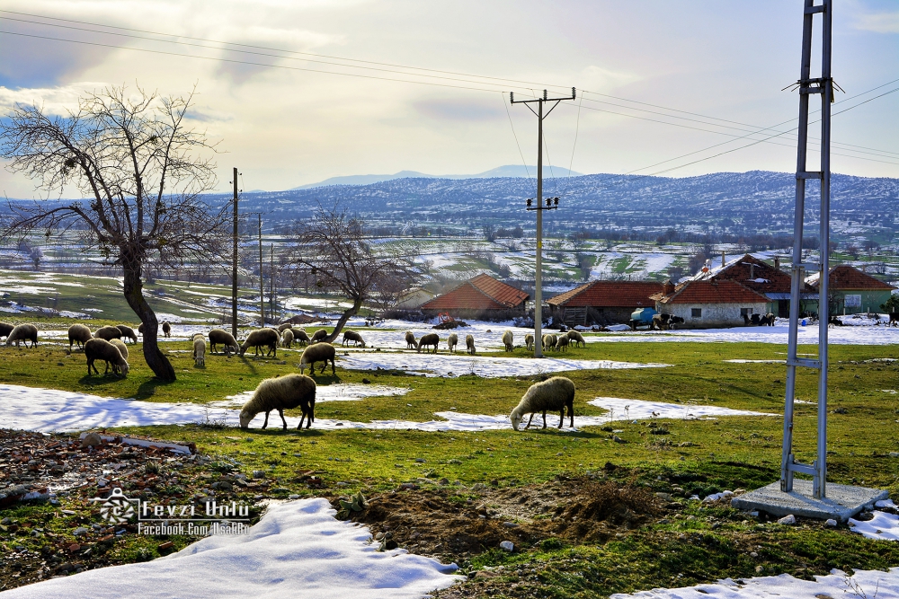 Eşme İsalar Köyü Resimleri 11