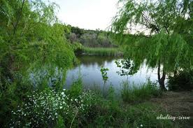 Eşme İsalar Köyü Resimleri 8