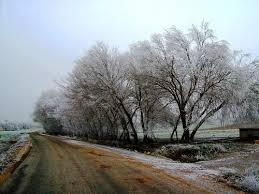 Balışeyh Bıyıkaydın Köyü Resimleri 2