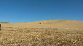 Balışeyh Bıyıkaydın Köyü Resimleri 9