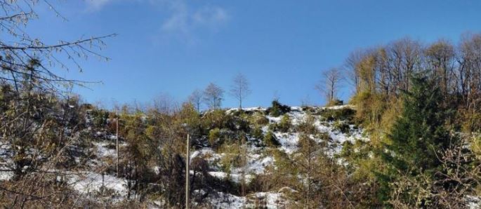 Beşikdüzü Dolanlı Köyü Resimleri 12