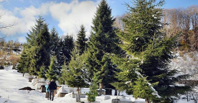 Beşikdüzü Dolanlı Köyü Resimleri 13