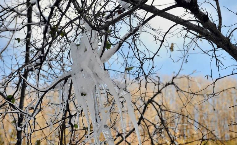 Beşikdüzü Dolanlı Köyü Resimleri 14