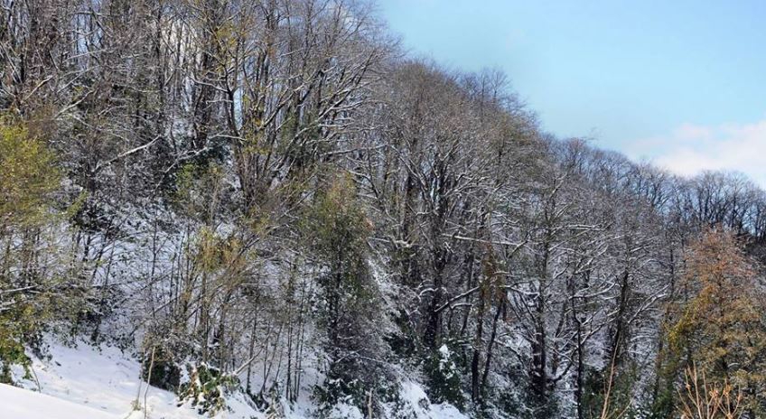 Beşikdüzü Dolanlı Köyü Resimleri 15